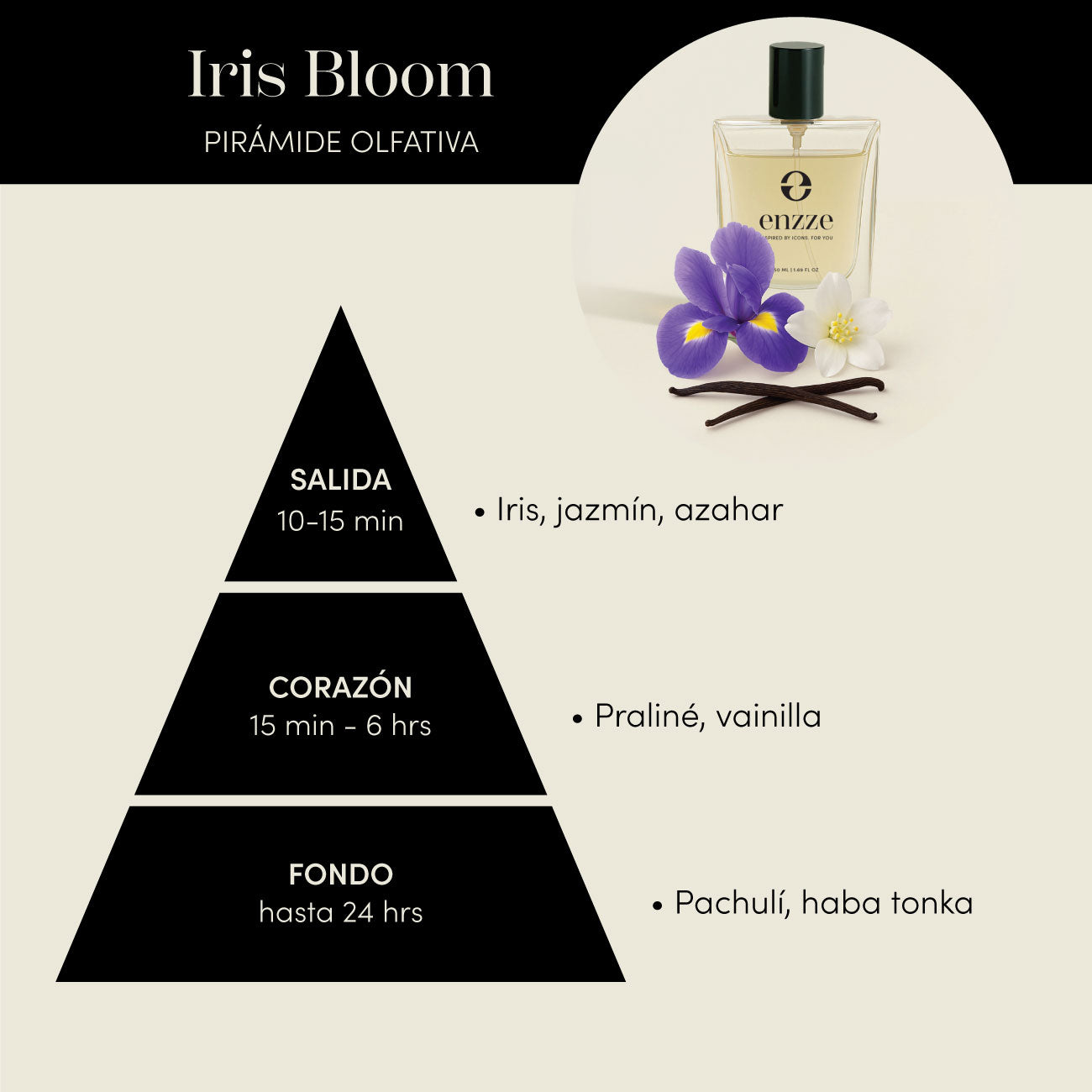 Iris Bloom