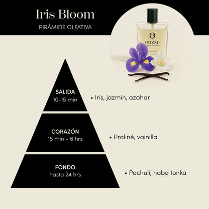 Iris Bloom